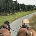 Familie Willems Am Waltenberg Incl Sauerland Sommercard Винтерберг