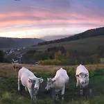 Familie Willems Am Waltenberg Incl Sauerland Sommercard Apartmán