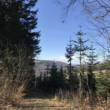 Familie Willems Am Waltenberg Incl Sauerland Sommercard