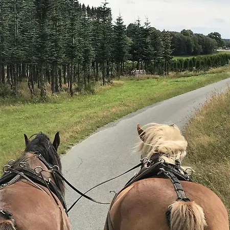 Familie Willems Am Waltenberg Winterberg