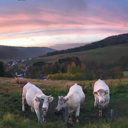 Familie Willems Am Waltenberg Incl Sauerland Sommercard Apartmán