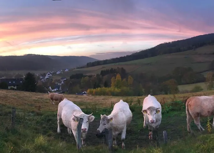 Familie Willems Am Waltenberg Apartamento